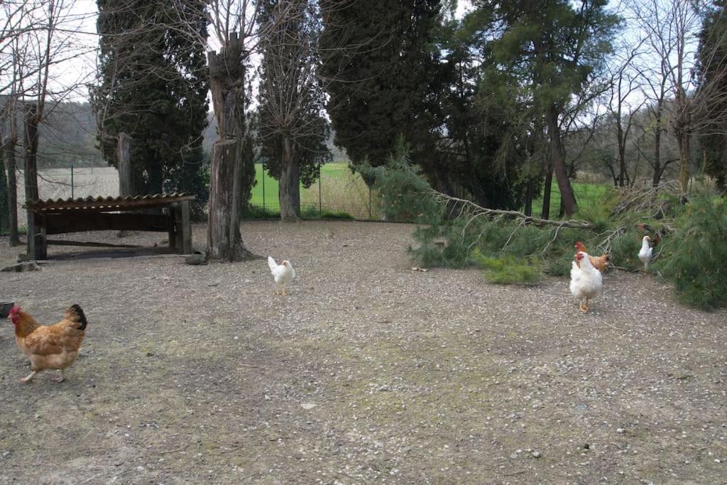 Casa Vacanze Podere San Giusto Volterra Eksteriør bilde