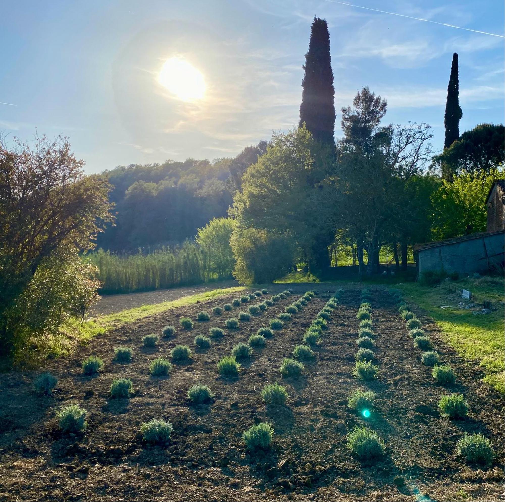 Casa Vacanze Podere San Giusto Volterra Eksteriør bilde