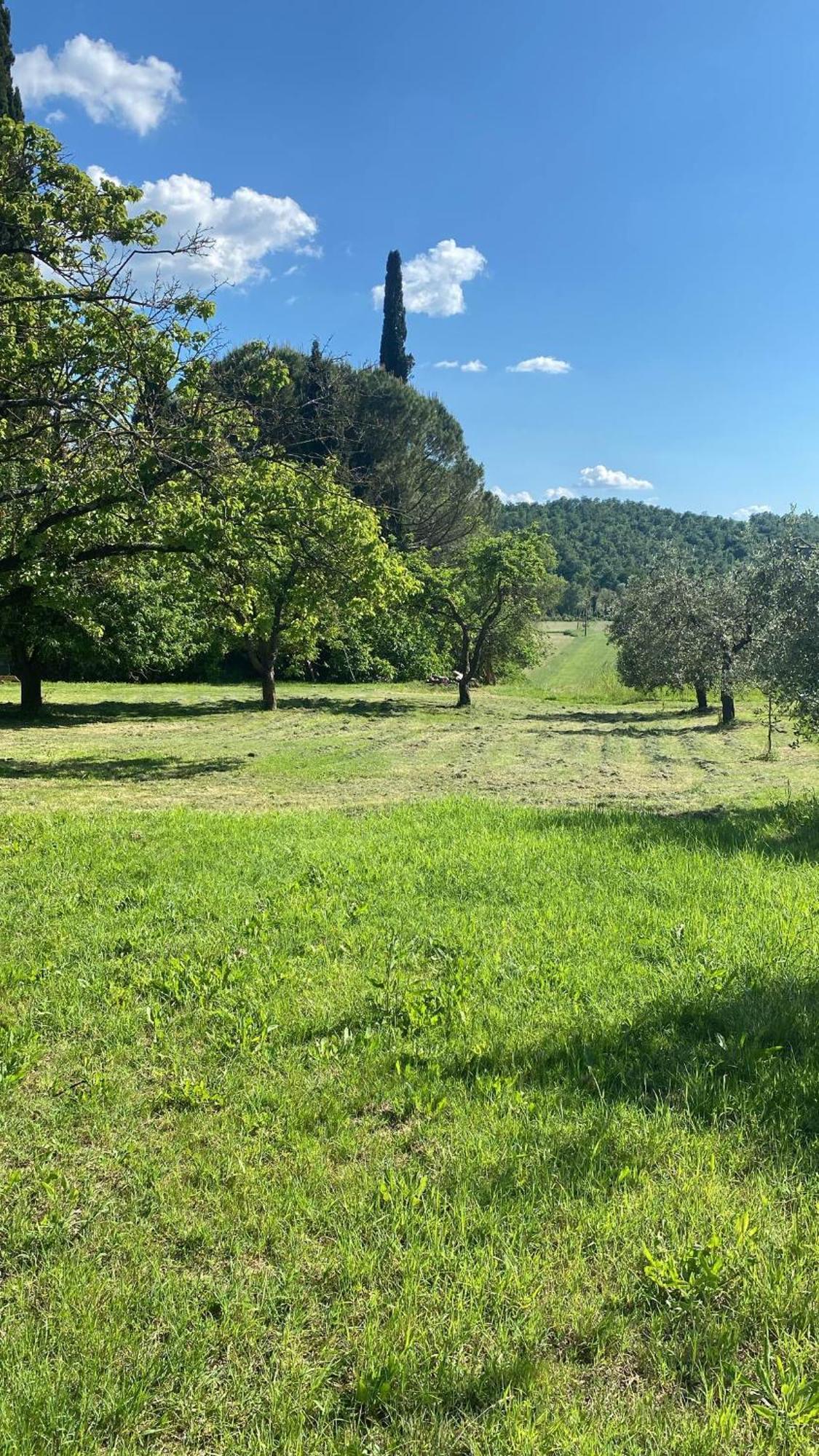 Casa Vacanze Podere San Giusto Volterra Eksteriør bilde