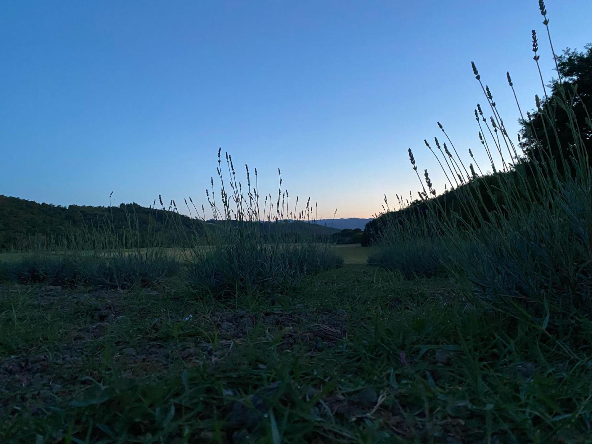 Casa Vacanze Podere San Giusto Volterra Eksteriør bilde