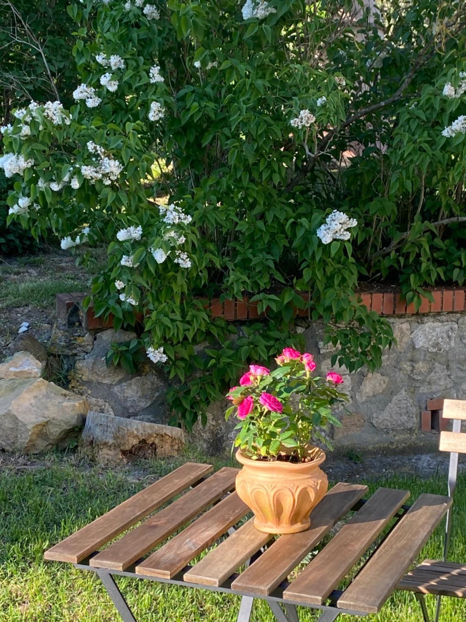 Casa Vacanze Podere San Giusto Volterra Eksteriør bilde